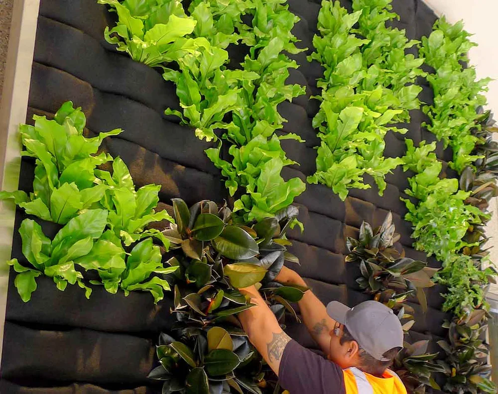 Living wall installation in London