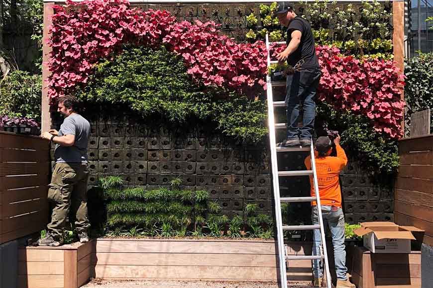 Living wall installation team at work